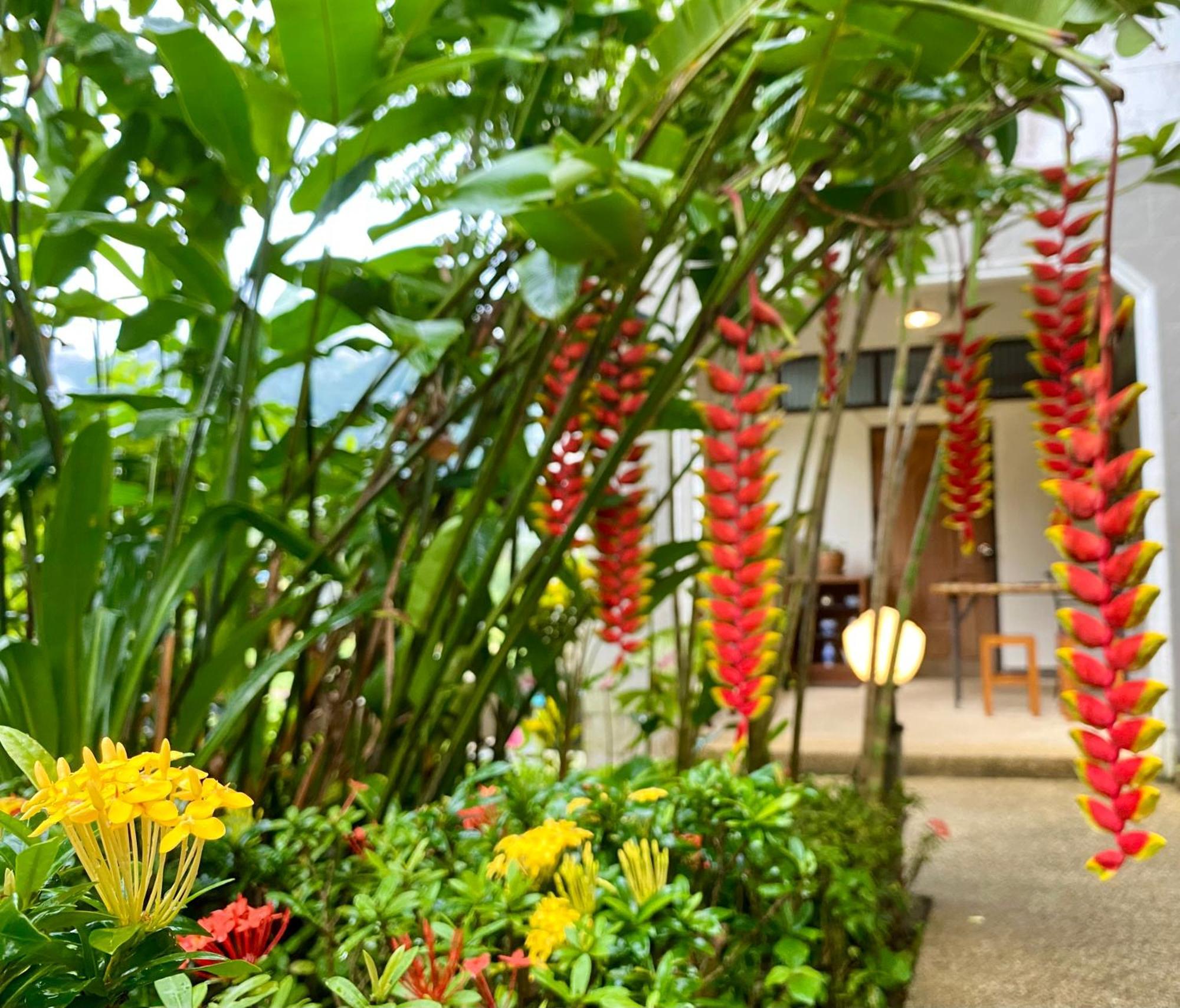 Guesthouse 88 Phang Nga Exterior photo